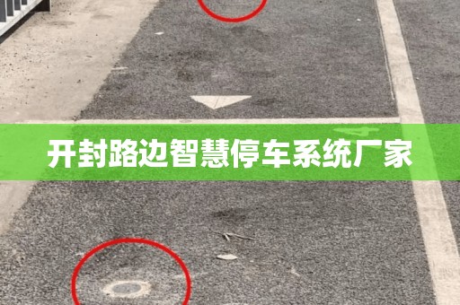 开封路边智慧停车系统厂家 开封路边智慧停车系统厂家