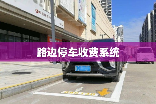 路边停车收费系统