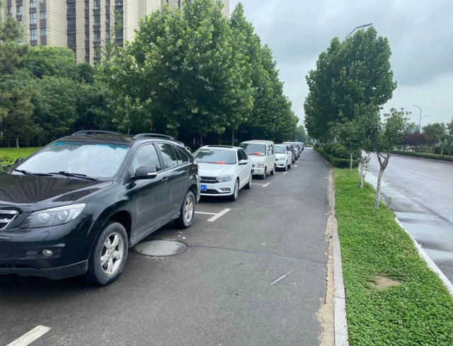 路边停车收费软件哪个好