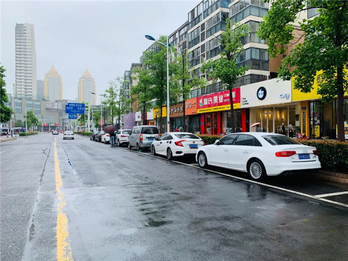 路边停车收费管理系统必须具备哪些功能